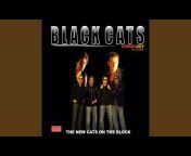 Black Cats - Topic