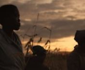 Decades before the Civil War, the actions of a brutal overseer spark the fire of revolution on a Southern tobacco farm. TOBACCO BURN is a short film based on a real American Slave Narrative and chronicles true events, creating a portrait of one community’s fight against oppression.nnFestival Awards and Prizes: nCleveland Intl. Film Festival – JURY PRIZE BEST STUDENT FILMnUSA Film Festival – FESTIVAL PRIZE BEST SHORT FILMnGasparilla Intl. Film Festival – AUDIENCE AWARD BEST STUDENT FILMnW