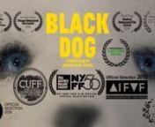 Black Dog (2018)nnInterview with Directors Notes here!nnhttps://directorsnotes.com/2020/05/15/joshua-tuthill-black-dog/nnUtilizing archival footage and stop-motion animation, Black Dog is set during the US and USSR space race of the 1960&#39;s amidst a time of heated social and political tension. Two brothers must deal with the sudden loss of their parents. As one falls into the darkness of a troubled marriage, the other must find an escape from the evil that is devouring his family.nnWritten and Di