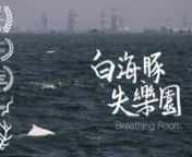 The Chinese White Dolphin (Sousa chinensis) has been living in the waters of Hong Kong for hundreds of years. The dolphin, which is in fact pink in appearance, is nicknamed ‘Panda of the Sea’, due to its rarity and friendliness. Despite being chosen as the handover mascot in 1997 when Britain returned the region to China, the Chinese White Dolphin’s fate is not auspicious at all. Their numbers have plunged 75% since 2003, and the species was recently uplisted to the ‘Vulnerable’ status