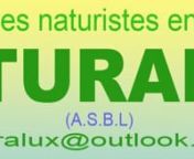 Cher naturiste, Chère naturiste, Anciens de Naturlux, n nComme vous le savez sans doute, Naturlux a cessé d&#39;exister il y a quelques temps. Convaincus de la nécessité de faire perdurer et de promouvoir le naturisme – et le naturisme libre en particulier – en Belgique et surtout en province de Luxembourg, nous avons décidé d&#39;unir nos forces dans la création d&#39;une ASBL. Nous avons choisi comme nom Naturalux ASBL en hommage à Naturlux et son fondateur. Nous souhaitons continuer le parcou
