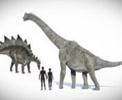 Did humans and dinosaurs co-exist?Are dinosaurs in the Bible?See what lab tests show about the actual age of dinosaur bones.