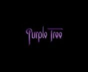 A group of like minded individuals, with a wealth of musical expertise and stagecraft, have come together under the PURPLE TREE banner. The aim is to recreate the flash and bombast of those heady days of the 1970&#39;s and 1980&#39;s, and celebrate the music of all the major players associated with the Deep Purple family tree.nnGreat songs, individual instrumental dexterity, improvisational skills and a thrilling stage presence all combine to provide an exciting performance from this band of seasoned pr