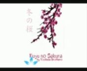Yoshida Brothers - Fuyu no Sakura(144p_H.264-AAC).3gp from 3gp 144p