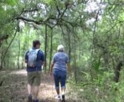 In 2014, a new segment of the Florida National Scenic Trail (FNST) removed two miles from a road walk along busy U.S. Hwy. 331. The new trail is in the forest, making it a safer and more scenic route.nnThe expanded trail route stretches for two miles north of Owl&#39;s Head Rd. The south end is a trailhead on the west side of Hwy 331 where the trail crosses the highway to the east. This junction is 9.2 miles south of I-10 and 5.2 miles north of SR 20, Freeport.The north end is on the west side of US