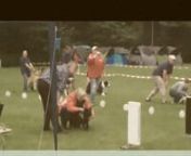 Flyball competition