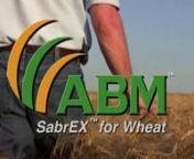 Visit http://www.treatyourwheat.com/ to learn more.nContact your local ABM representitive to find SabrEx for Wheat near you: http://www.abm1st.com/find-your-rep/nnSabrex™ for wheat with iGET technology , its a revolutionary Trichoderma-based root innoculant manufactured by ( ABM ) Advance Biological Marketing and it&#39;s leading the