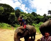 A video compilation on our recent trip to Thailand.We modeled this video after the music video for Duke Dumont&#39;s &#39;I Got U.&#39;Hope you enjoy!nnSong: Duke Dumont - I Got U (feat. Jax Jones)nnSome Locations:nPatara Elephant Farm - Chiang Mai, ThailandnA Lot of Thai Cooking Class - Chiang Mai, ThailandnJohn Gray&#39;s Sea Canoe Tour - Phang Nga Bay, ThailandnThe Outrigger Resort &amp; Spa - Ko Phi Phi Don, ThailandnMonkey Beach - Ko Phi Phi Don, Thailand