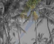Palm Trees, Sun &amp; Barrelsin beautiful Hawaii with young Italian surfer Leonardo Fioravanti.nnSong By Class Actressn