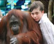 Daniel and William Clarke live in Sydney, Australia, and share a passion to save the orangutan in Borneo and Sumatra.Their desire to help the orangutan happened after a series of events that helped shape Daniels decision to take a stand (read more about it here).nnDaniel has cerebral palsy and is mostly confined to a wheelchair however this doesn’t stop him from doing what he believes is right.nnSo far the boys have raised over &#36;670,000 to save the orangutan, sponsored 53,500 acres of orangu