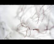 Video for Japanese artist Noah (http://noahdromme.com/ )nMusic: Winter morn by Noah