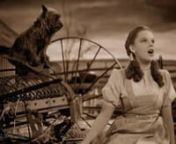 Somewhere Over the Rainbow - Judy Garland (1939) from the wizard of oz 1939 cast wizard