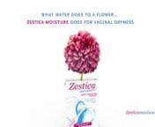 Zestica Moisture™ is a new vaginal moisturising lubricant for women that gives immediate comfort and leaves you feeling