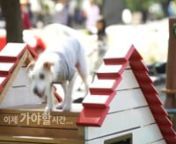 신개념 반려견테마놀이시설 브랜드 왈로입니다.nBrand new Dog&#39;s Play Furniture Brand &#39;Waalo&#39;nfrom Yekun Corporation (Site furniture company) in Koreann