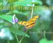 See this blog containing additional resources about the River of Life Devotional: http://www.cwgministries.org/blogs/would-you-enjoy-getting-immersed-holy-spiritnnMP3 download available at http://www.cwgministries.org/store/river-life-mp3nnMusic: Healing Waters by Daniel Kleefeld, used by permission. He has several other recordings available on iTunes and on his website www.DanielKleefeld.org.nnButterfly photograph copyright Charla Virkler, http://www.CharmBoxStudios.com.