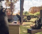 Creative Agency of Record J. Walter Thompson Atlanta teamed up with MPC, the creative studio behind the animation of The Jungle Book and the grizzly in The Revenant, to create SCANA’s newest brand ambassadors: black bears. These friendly Georgia-natives realize that with SCANA Energy’s low rates, life is that much easier. (But someone really should have warned the neighbors.)