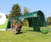 The simple, stylish, straightforward way to start keeping chickens. The Eglu Go is the latest in the Eglu range and keeps up to 4 medium size chickens happy and healthy.nnThe Eglu Go comes complete with everything you need to get started. It has plastic roosting bars and a discreet nesting area which can be filled with straw or shredded paper to make a comfortable nest for your chickens. The freshly laid eggs can be plucked from the nest simply by opening the door at the back and can be served w