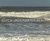Laat u verrassen door een natuur beleving en schoonheid van Nederland onder het wateroppervlak ! www.goofyaquavideo.com