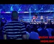 Brock Lesnar Vs The Undertaker Summerslam 2015 Highlights HD from brock lesnar vs undertaker 2015 hell in a cell match
