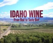 *Official selection at the Sun Valley Film Festival 2015.nnThe Idaho winemaking tale is ripe and ready for picking.nnWay out West a handshake and a person’s word still carry a lot of weight.A common saying around here is, “Do what you say you’re gonna do.”That motto resonates with many Idaho businesses and the people working in them.Idaho is a state full of hard working, ethical, loyal and honest people living and enjoying life to the fullest.This movie is about so much more than