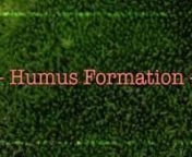 The one-year-status video of the Humus Formation project. It includes setup, a time-lapse of the first 365 days and some microscopy sequences. The visualisation is inspired by Annie Francé-Harrars article &#39;Leben wird aus dem Stein&#39; (Life Evolves from Stone) from 1967. Ebook download (in German) available at: http://www.boku.ac.at/humusplattform/humusbuch/nNEW: version in Italian language: https://vimeo.com/129968887 - Translation by Lucia SilvestrininThis video is published under creative commo