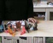 Dans le cadre d’un rendez-vous avec le Japon et en fil rouge tout au long du mois de février 2015, l’Éco-libri s’est donné comme projet la réalisation d’une guirlande (au moins !) de « 1000 grues pour la paix »nnCes guirlandes en origami sont devenues un symbole de paix au Japon après la mort de Sadako Sasaki après la Seconde Guerre Mondiale.nnL’Éco-libri se proposait donc de collecter 1000 grues en origami et de les expédier en message de paix au Mémorial de la paix d’Hir