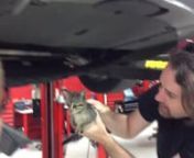 Extracting a kitten from the motor compartment of a Tesla Model S.nnmusic: