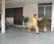 As its name suggests, the Essence of Shaolin comprises the best techniques in Shaolin Kungfu. Grandmaster Wong rook more than two years to learn this glamorous set from his first kungfu teacher, Uncle Righteousness.http://www.shaolin.org/shaolin/kungfu-sets/essence-of-shaolin.html