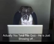 Take our free Dog Anxiety Quiz and learn how people are Curing Dog Separation Anxiety Quickly atnhttps://chilledk9.dognnThe anticipation of potential dangers is what known to be as, &#39;anxiety&#39;. Like humans, animals can also develop symptoms of anxiety. Pet animals are relatively more anxious than stray or wild animals. Out of all the pet animals, dogs have a higher ratio of anxiety. There are some breeds which are prone to be more anxious. Anxiety can be developed due to several reasons. The most