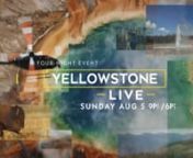 Only National Geographic brings you an unprecedented live event so big… it&#39;s Yellowstone big.Four nights, 200 crew, up close, wild access to bison, bears, cougars… all in one giant supervolcano.nnTo match the spirit and breadth of the live event, NG Creative Marketing + Evolve Studio descended on Yellowstone with our own bandit crew to effect the look and feel of the massive production to come.nnNATIONAL GEOGRAPHICnExecutive Writer Producer &#124; Nicole StrongnDesign Director, Creative &#124; Car