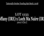 Lot 1233 - Zoffany x Loch Ma Naire from naire
