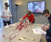Welcome to the latest revolution in mixed reality anatomy learning. 3D anatomy atlas HoloHuman, by Pearson, powered by 3D4Medical.
