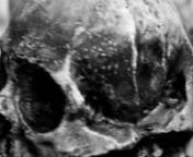 Cráneos y nueva obra de esqueleto humano de Necro Escultor. nnArena Recoleta, Cruel Wretch, 14 de enero de 2017.nnnnnRealizado por Carolina Attack.