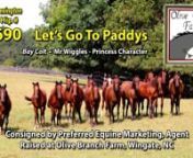 Hip# 690 - LET&#39;S GO TO PADDYS sells in the Lexington Selected Yearling Sale Oct. 2-6, 2018.nBay Colt by Mr Wiggles from Princess Character. Rasied at Olive Branch Farm, Wingate, NC
