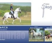 LOTE 06 Sereia RCB from rcb
