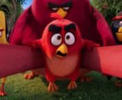 FXX_The Angry Birds Movie_20 from the angry birds movie fxx