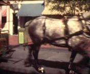 For Paraíso (2006), Belinchón worked with about 20 hours of Super 8 film from the 70s and 80s that he found in a flea market in Berlin. These contained domestic footage shot by two women during their travels through various international tourist destinations. As is common in home movies, these images were unedited and the shots appeared in the order they were filmed. Belinchón ran them under an operation of demontage, breaking their original sequence to then regroup them according to specific