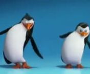 y2matecom - Video dos pinguins dançando MADAGASCAR original para fazer memes!!!!!_360p from memes dancando