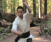 Learn to use the fast and powerful Sai from Nicholas Yang, with training drills, martial applications, and double sai sequence. Dr. Yang, Jwing-Ming makes a special appearance to introduce the program with a brief history of the sai. The techniques and sequence come from Dr. Yang&#39;s extensive training in Shaolin White Crane Kung Fu.nSai (釵, chāi) is a challenging training that demands precision, agility, and graceful execution of its techniques to truly master. The sai is a unique baton weapon