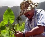 This video documents the battle over the water in Waiahole Ditch on the island of O‘ahu, where taro farmers and long-time residents seek to reclaim the natural stream waters that were taken in the early 1900&#39;s by sugar plantations.nnu2028Shot on location in the Windward O‘ahu valleys and Waipi‘o valley on Hawai‘i island,