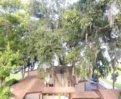Unique riverfront home for sale in Jacksonville Florida. One like you have never seen...The Treehouse. 4 bedrooms 3 baths on the St Johns River minutes to downtown Jacksonville by boat or car with easy ocean access. nDetails - Photos - Pricing at http://www.UniqueDiggs.comnnMike &amp; Cindy Jones, Jacksonville Realtorsn904 874-0422nFlorida Homes Realty &amp; Mortgage LLCnhttp://www.ExploreJacksonvilleRealEstate.com