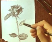 This video is about drawing flower using pencil nnplease Like, comment and share to show more art.nnfollow me in social media :nninstagram : https://www.instagram.com/alifahed/nnfacebook : https://www.facebook.com/ali.alawiedi nndevices used in this video :ncanon 6d ncanon 50mm f/1.4 nCanon 100 mm f/2.8 macroniPhone 6snnnnDRAWING YOUTUBERSnDraw Synonyms, Draw Antonyms nTrick Art Drawing 3D Tiny House on papernHow to Draw a Realistic EyenHow to Draw 3D Letter M - Drawing with pencil - Trick Art f