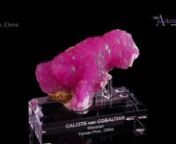 Wenshan, Yunnan Province, Chinanex. Dr. Robert LavinskynSmall Cabinet, 9.8 x 5.8 x 2.6 cmnnAlthough common enough on the market, Cobalt-rich calcite with a hot pink color from China is often more pink, than what I would call