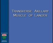 Dr Stephan Ariyan, Dr Scott Nishikawa -TRANSVERSE AXILLARY MUSCLE OF LANGER- 2min- 2010 from ariyan