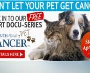REGISTER FOR FREE at the link belownhttp://bit.ly/petcancertruthnCancer in Dogs and Cats-The TruthAbout Pet CancernnOn Wednesday April 4th, 2018 The Truth About PET Cancer premieres, and the answers will be revealed. 7 episodes in 7 days. It’s the biggest, most comprehensive documentary series on the pet cancer epidemic ever released.nnIf you’re a pet parent or love someone who is, then here’s some news you need to hear… if you want your pets to live long and healthy lives.nBecause the