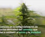Lamar Odom, nuevo empresario de la marihuana from lamar