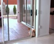 Automate your existing patio sliding doors or new sliding patio doors to create an automatic pet door for your dogs and cats. With Autoslide&#39;s new K9 Automatic Pet Door System, your dog can securely use your patio door as a pet door. The K9 Smart Tag uses RFID technology to communicate with the transmitter to activate your Autoslide pet door, allowing only pets with the K9 tag to enter and exit your home. Use the Pet Mode feature to program your sliding patio door to open just wide enough for yo