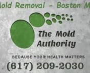 Looking for Mold Removal Boston MA? Call the experts: (617) 209-2030nThe Mold Authority is the Boston mold remediation specialist.nnMold remediation in Boston and surrounding areas is an ongoing issue due tonthe amount of moisture we experience along the costal areas of the Northeast.nMoisture is the biggest factor to combat when fighting mold growth. Controlnthe moisture - control the mold growth.nnOnce you notice you have mold spores reproducing inside your home, the firstnthing to do is find