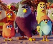 Llega &#39;Angry Birds&#39; a la gran pantalla. Tras la fama que alcanzó el videojuego,La película cuenta la historia del hábitat de las aves, un paraíso donde reina la alegria y la armonia. Pero la isla recibe la visita de unos misteriosos cerdos.