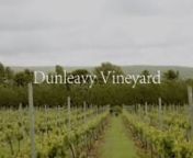Dunleavy Vineyard in Somerset on a blustery day in June. Filmed and edited by Emli Bendixen